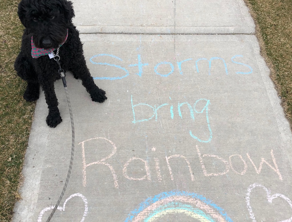 Neighbors Surprise Boy With Sidewalk Messages on Birthday