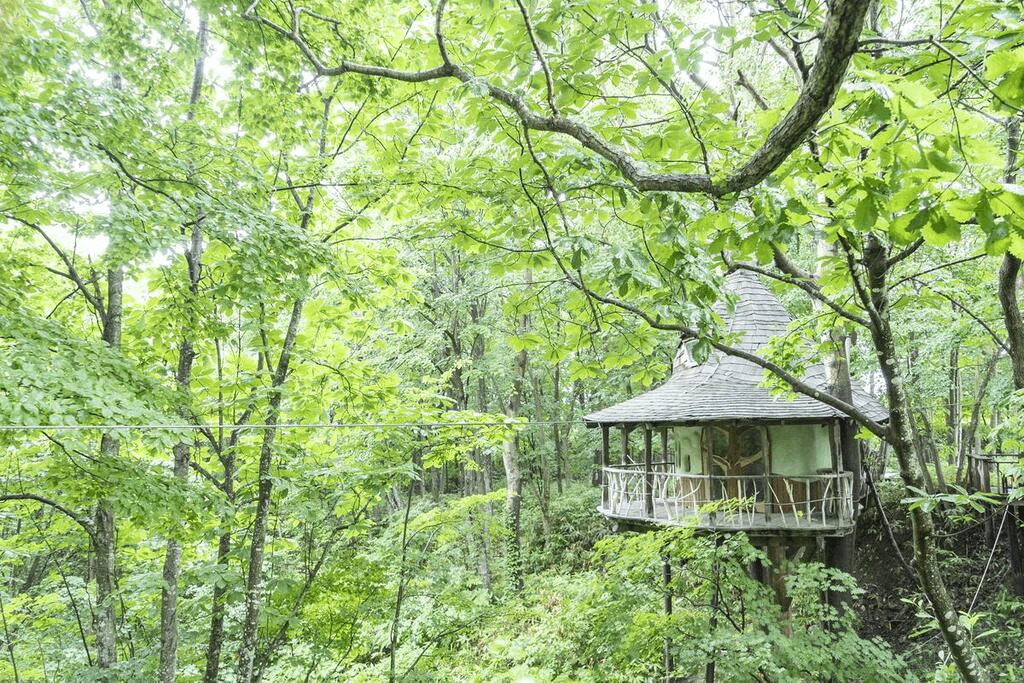 Gif showing the treehouse with campers gathered.